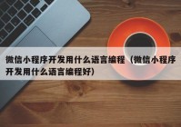 微信小程序開(kāi)發(fā)用什么語(yǔ)言編程（微信小程序開(kāi)發(fā)用什么語(yǔ)言編程好）