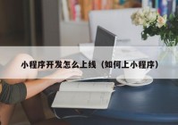 小程序開(kāi)發(fā)怎么上線（如何上小程序）