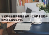 智能終端軟件開發(fā)行業(yè)前景（軟件技術智能終端開發(fā)以后可以干嘛）