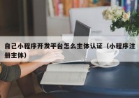 自己小程序開發(fā)平臺怎么主體認(rèn)證（小程序注冊主體）
