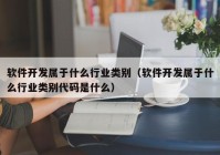 軟件開(kāi)發(fā)屬于什么行業(yè)類別（軟件開(kāi)發(fā)屬于什么行業(yè)類別代碼是什么）