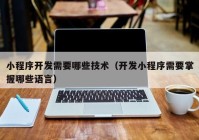 小程序開發(fā)需要哪些技術(shù)（開發(fā)小程序需要掌握哪些語(yǔ)言）