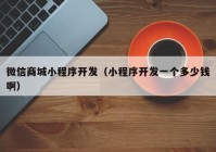 微信商城小程序開發(fā)（小程序開發(fā)一個(gè)多少錢啊）