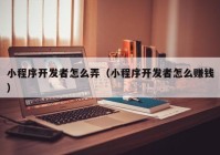 小程序開(kāi)發(fā)者怎么弄（小程序開(kāi)發(fā)者怎么賺錢(qián)）