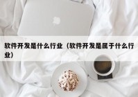 軟件開(kāi)發(fā)是什么行業(yè)（軟件開(kāi)發(fā)是屬于什么行業(yè)）