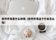 軟件開(kāi)發(fā)靠什么掙錢(qián)（軟件開(kāi)發(fā)這個(gè)行業(yè)怎么樣）