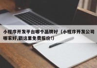 小程序開發(fā)平臺哪個(gè)品牌好（小程序開發(fā)公司哪家好,戳這里免費(fèi)報(bào)價(jià)!）