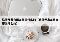 軟件開(kāi)發(fā)有限公司做什么的（軟件開(kāi)發(fā)公司主要做什么的）